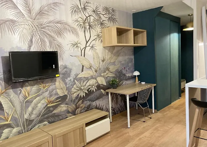 T1 With Loggiajapanese Garden-tbs * Toulouse